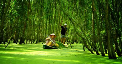 Những điểm đến du lịch hấp dẫn ở An Giang Những điểm đến du lịch hấp dẫn ở An Giang