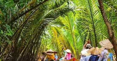 Tìm hiểu 4 cù lao miền Tây đậm chất miệt vườn phải tới thăm 1 lần Tìm hiểu 4 cù lao miền Tây đậm chất miệt vườn phải tới thăm 1 lần