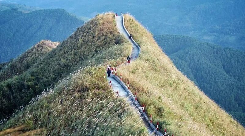 Bình Liêu mùa cỏ lau