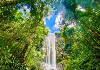 Review tour đoàn Măng Đen – Kon Tum bằng máy bay