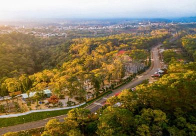 Top 5 lý do nên du lịch Đà Lạt mùa thu – mùa lãng mạn nhất