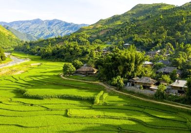 Những trải nghiệm nên thử khi du lịch Tú Lệ – Yên Bái