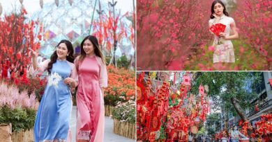 Du lịch Tết miền Bắc 2026, hành trình du xuân đầu năm