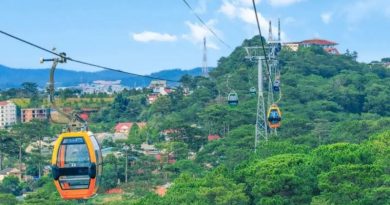 Kinh nghiệm đi cáp treo Đà Lạt 2026, giá vé & lưu ý