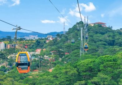 Kinh nghiệm đi cáp treo Đà Lạt 2026, giá vé & lưu ý