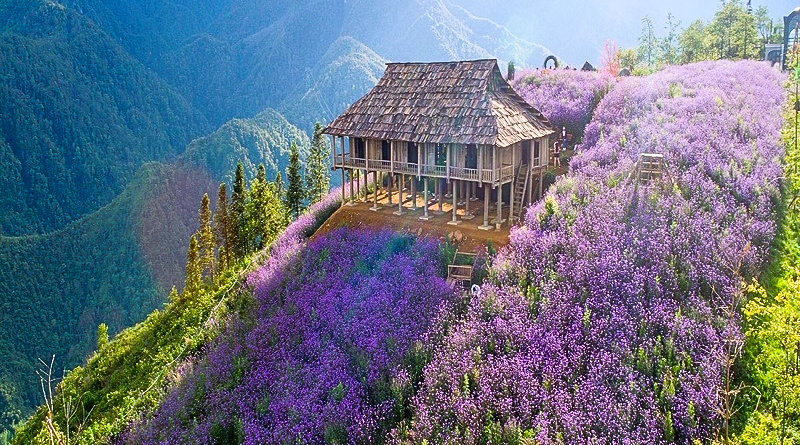 Khám phá thung lũng hoa Bắc Hà có gì độc đáo